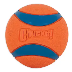 Ball Dog Toy