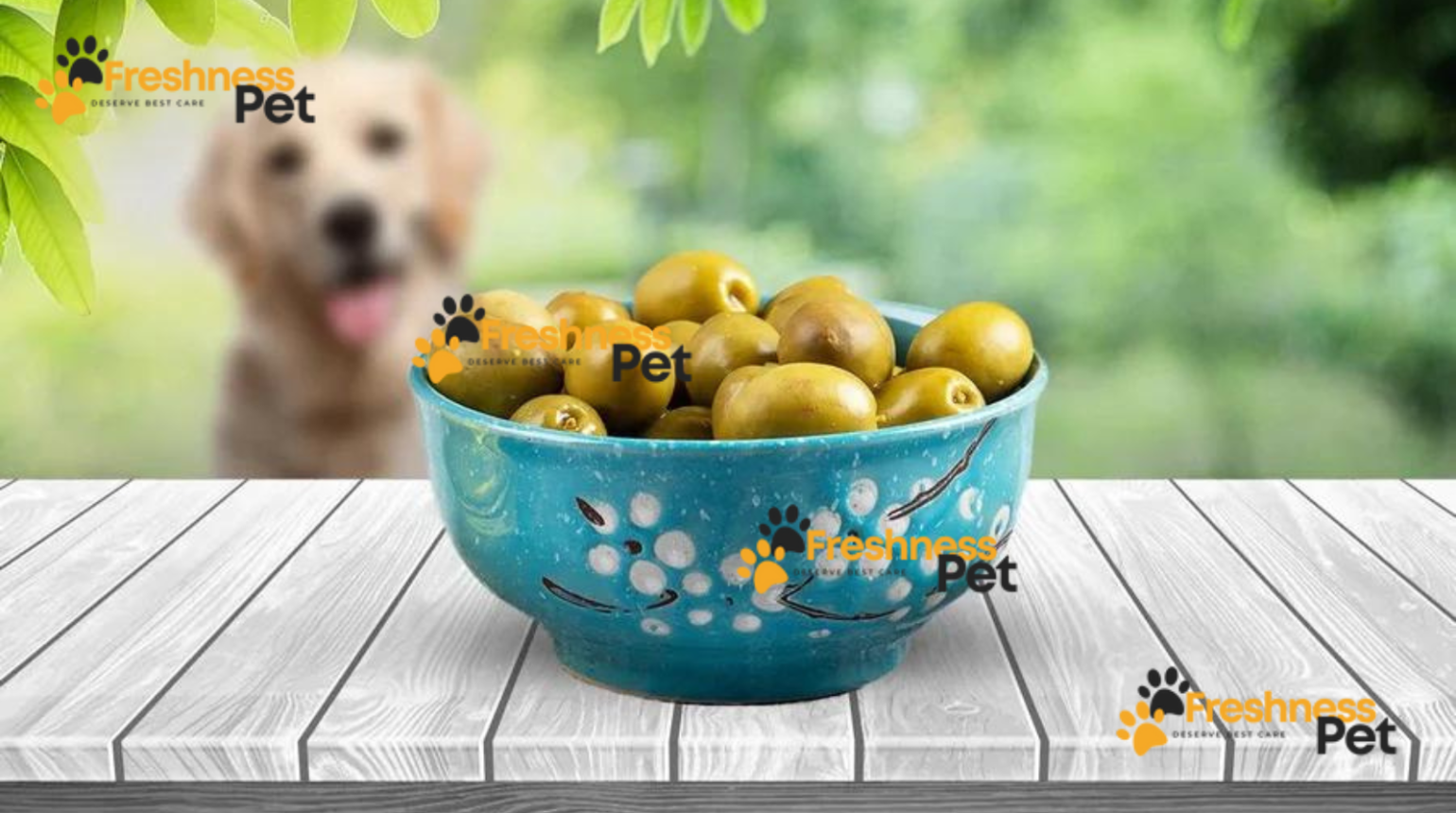 Can Dogs Eat Olives? Learn the Facts First!