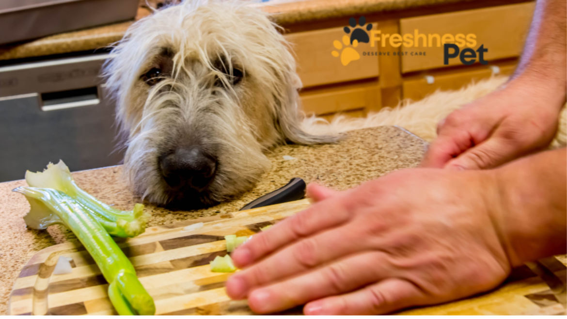 Can Dogs Eat Celery?