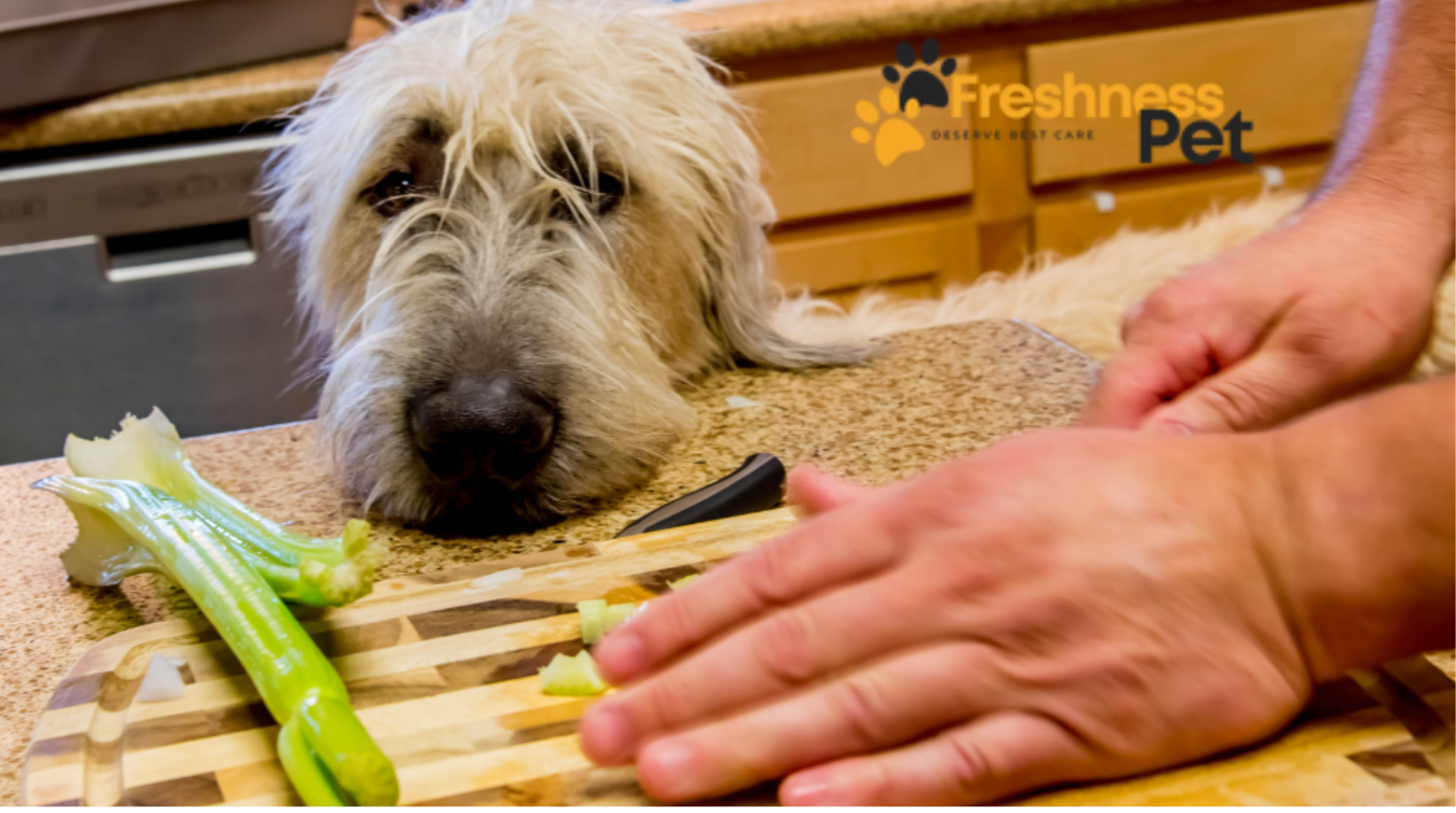 Can Dogs Eat Celery?